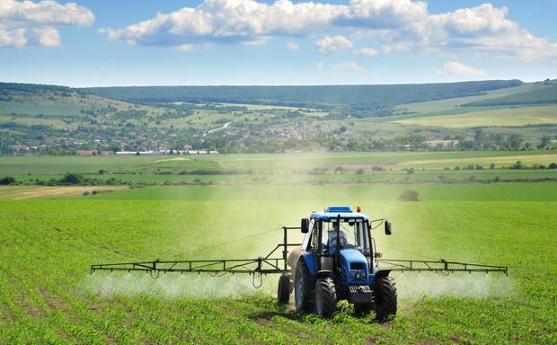 CROPS WATCH: early season winter barley management